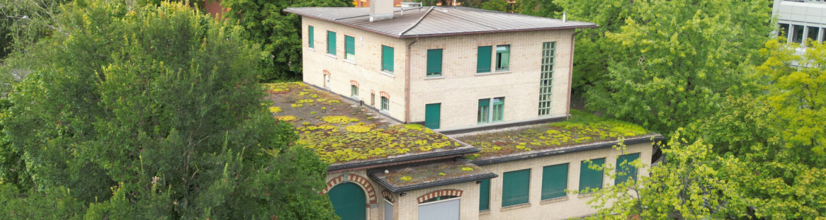 Primarschule Neuwiesen-Brühlberg